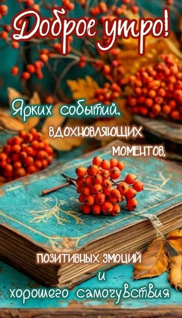 Открытка дня