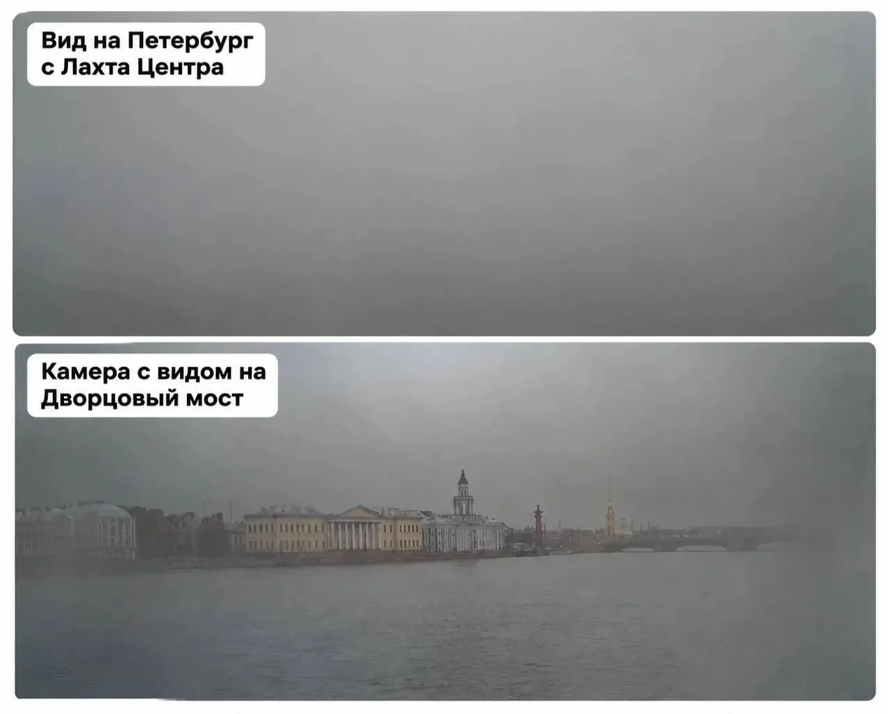 Невозможно оторвать глаз от осеннего Петербурга 😅