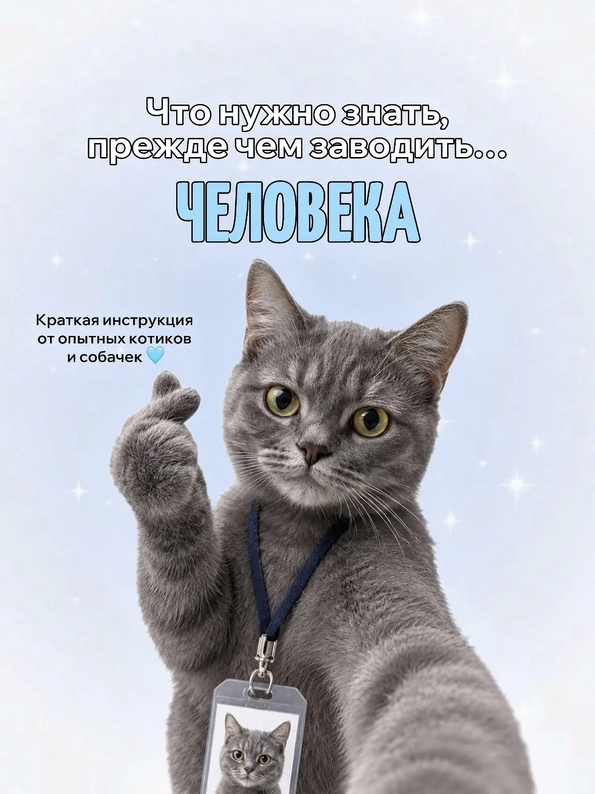 Наши пушистые подопечные тоже хотят участвовать в ведении страницы 😄