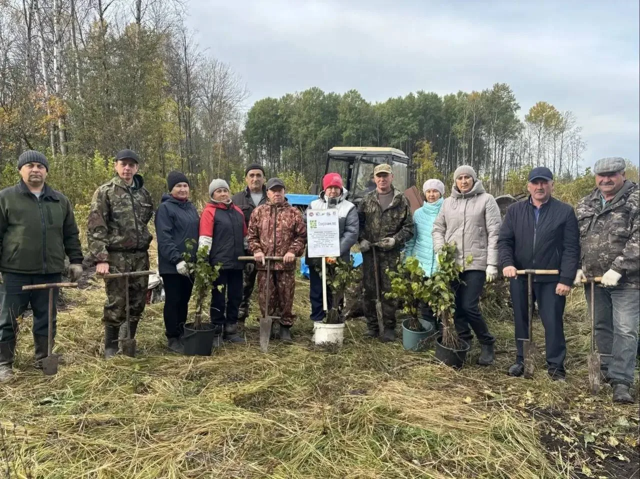 🌳 В Аксубаевском районе за день высадили 9 200 молодых деревьев
