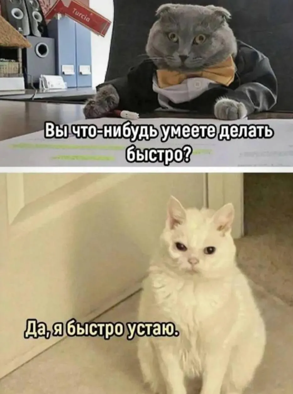 Мемы каждый день • Подписаться