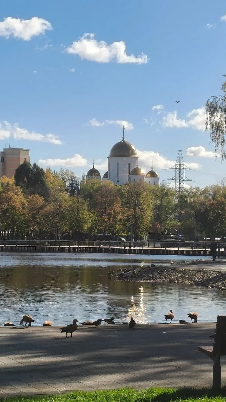 🕊Не все ещё пташки улетели на юг! Некоторые пока гуляют возле пруда у "Марса".