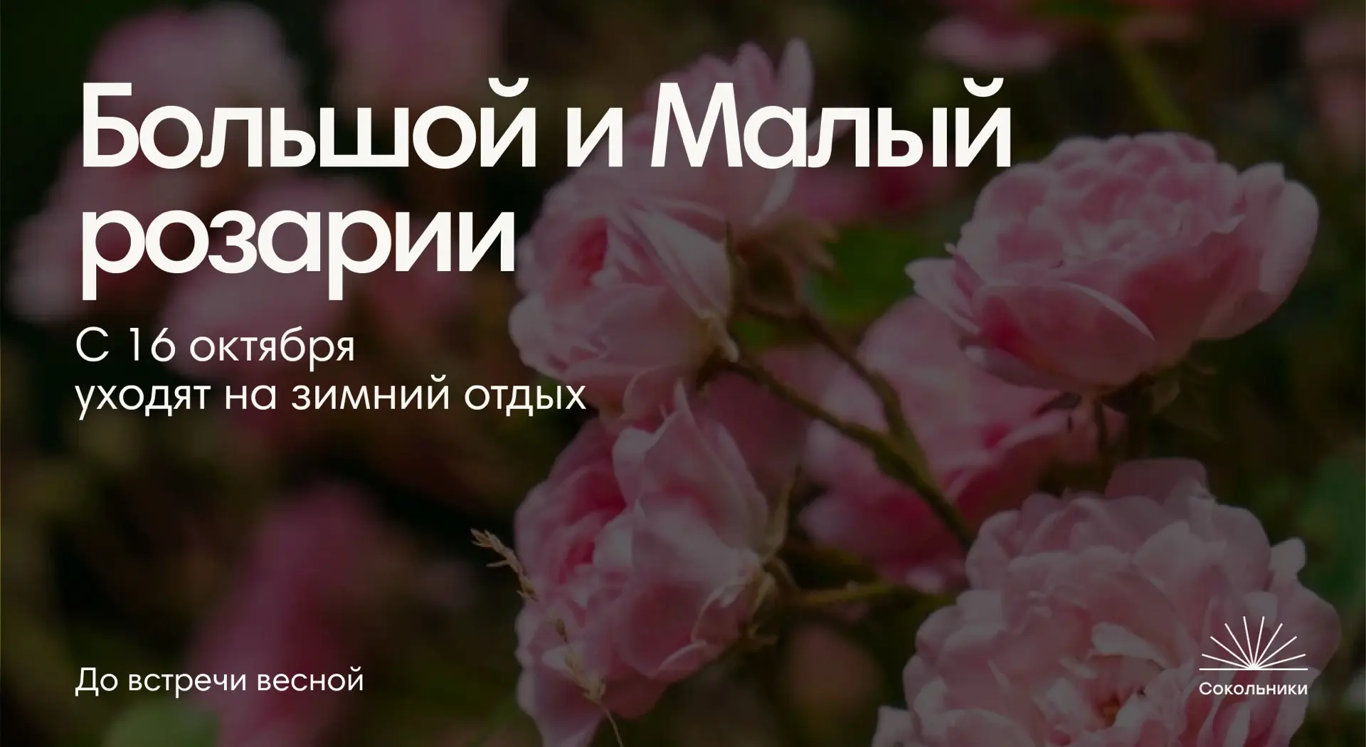Большой и Малый розарии уходят на зимний отдых с 16 октября 🌺
