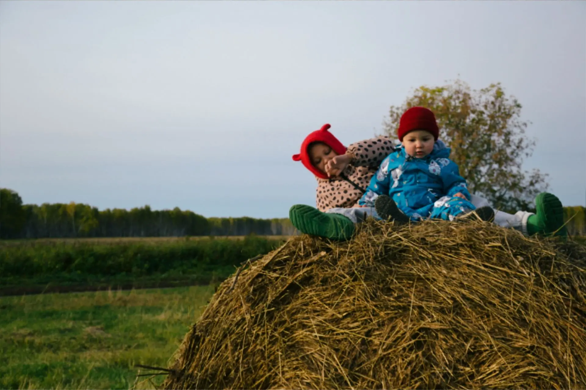 Покров🍂