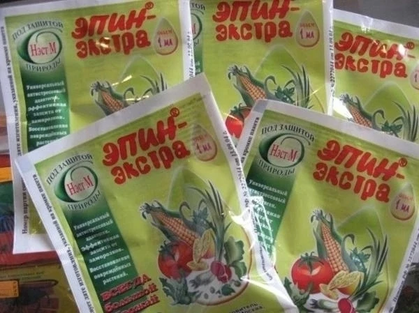 Эпин — настоящий маст-хэв для тех, кто хочет превратить дачу или подоконник в цветущий ...