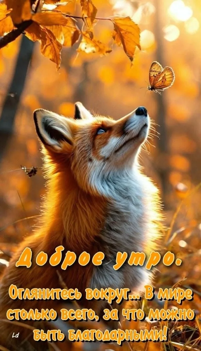 Красивые открытки❤️
