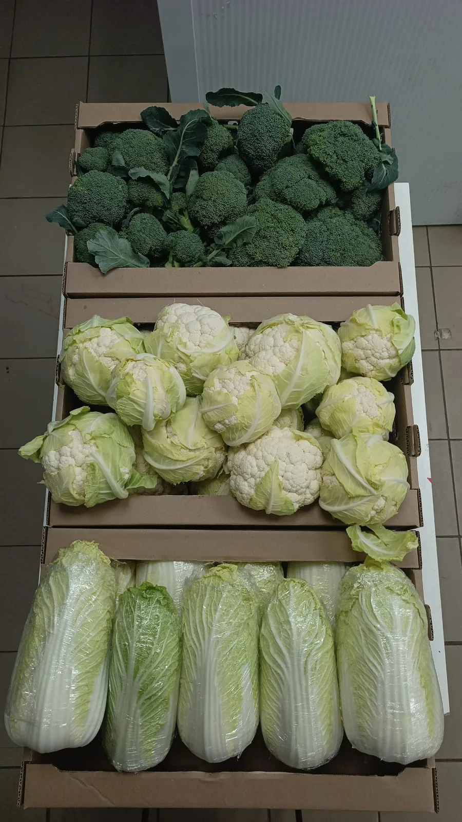 Поступила свежая партия овощей! 🥬