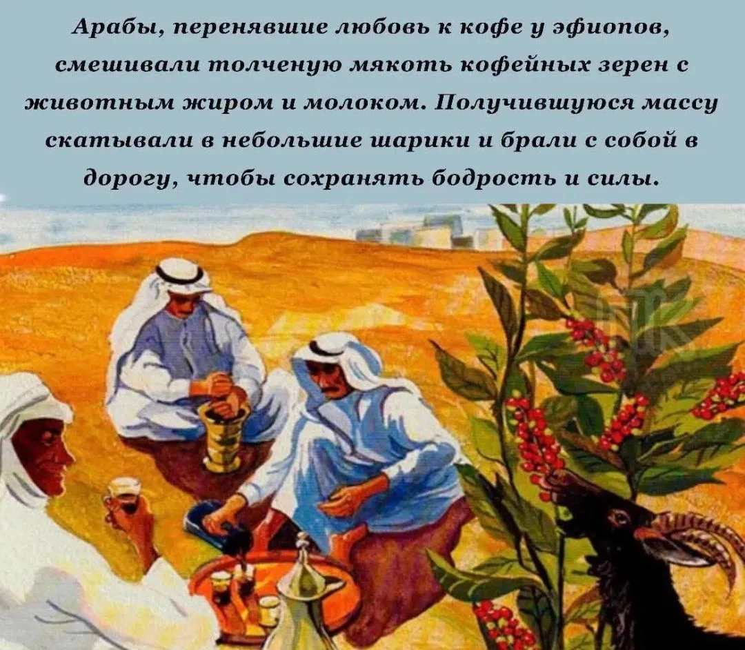 Необычное применение кофе 🧐