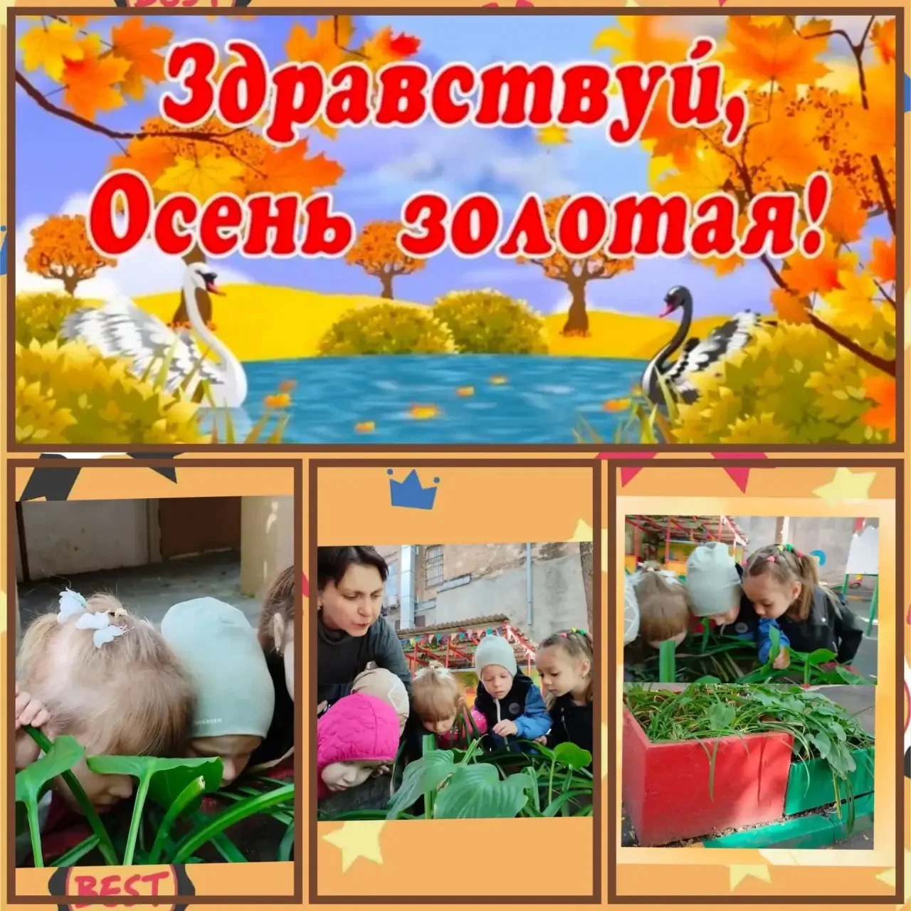 Сегодня ребята 1 младшей группы совершили экскурсию по участку детского сада: "Здравств...