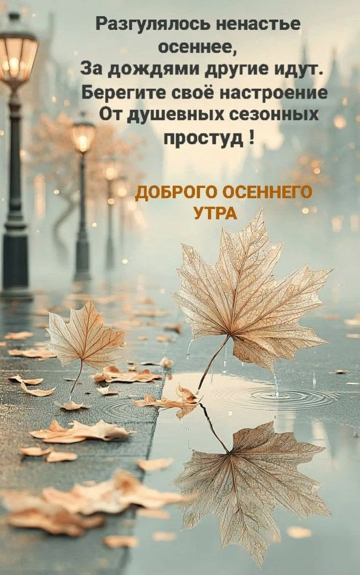 💞ЭСТЕТИЧНЫЕ ОТКРЫТКИ💞