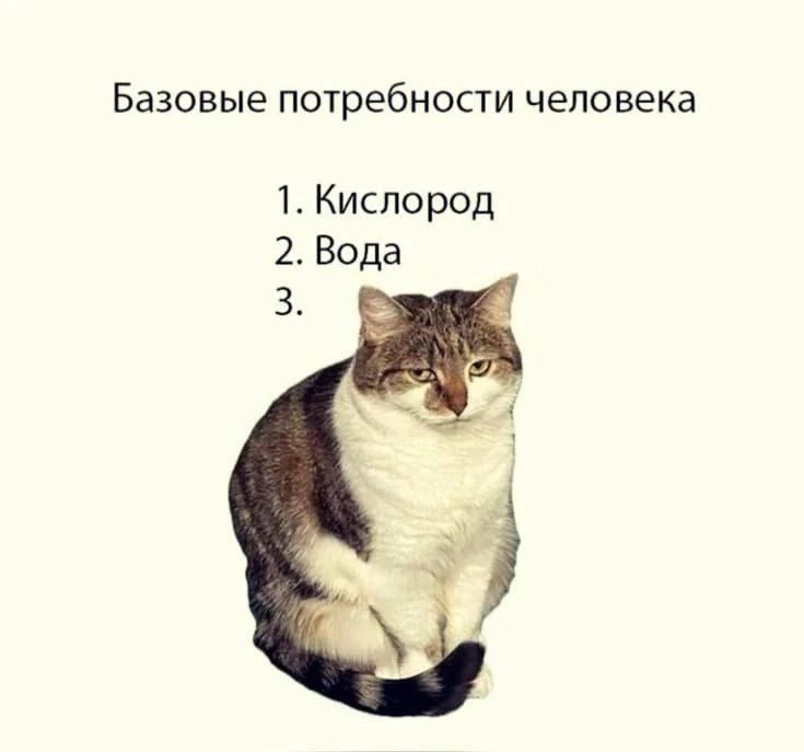 Точно🥰
