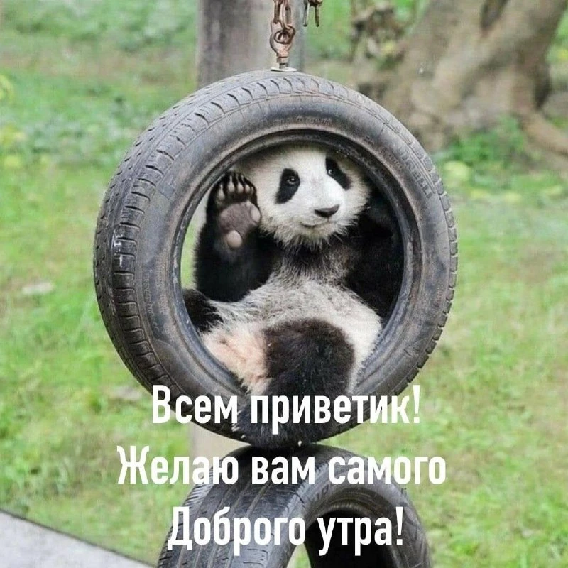 Доброе утрышко ☀, Пчёлки 🐝.