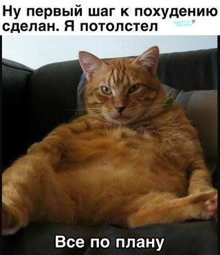 Начало положено 😁