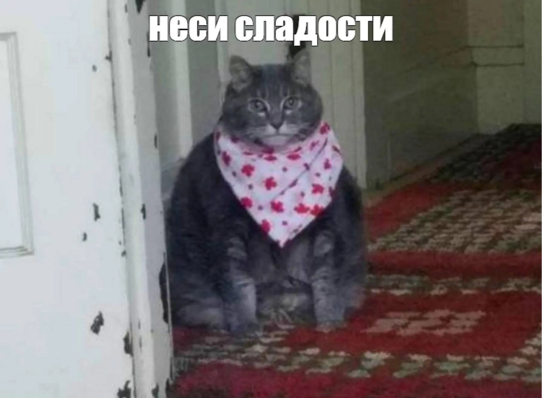 «Налог» на СЛАДКОЕ введут в России — это приведет к подорожанию сладостей на 23-40%