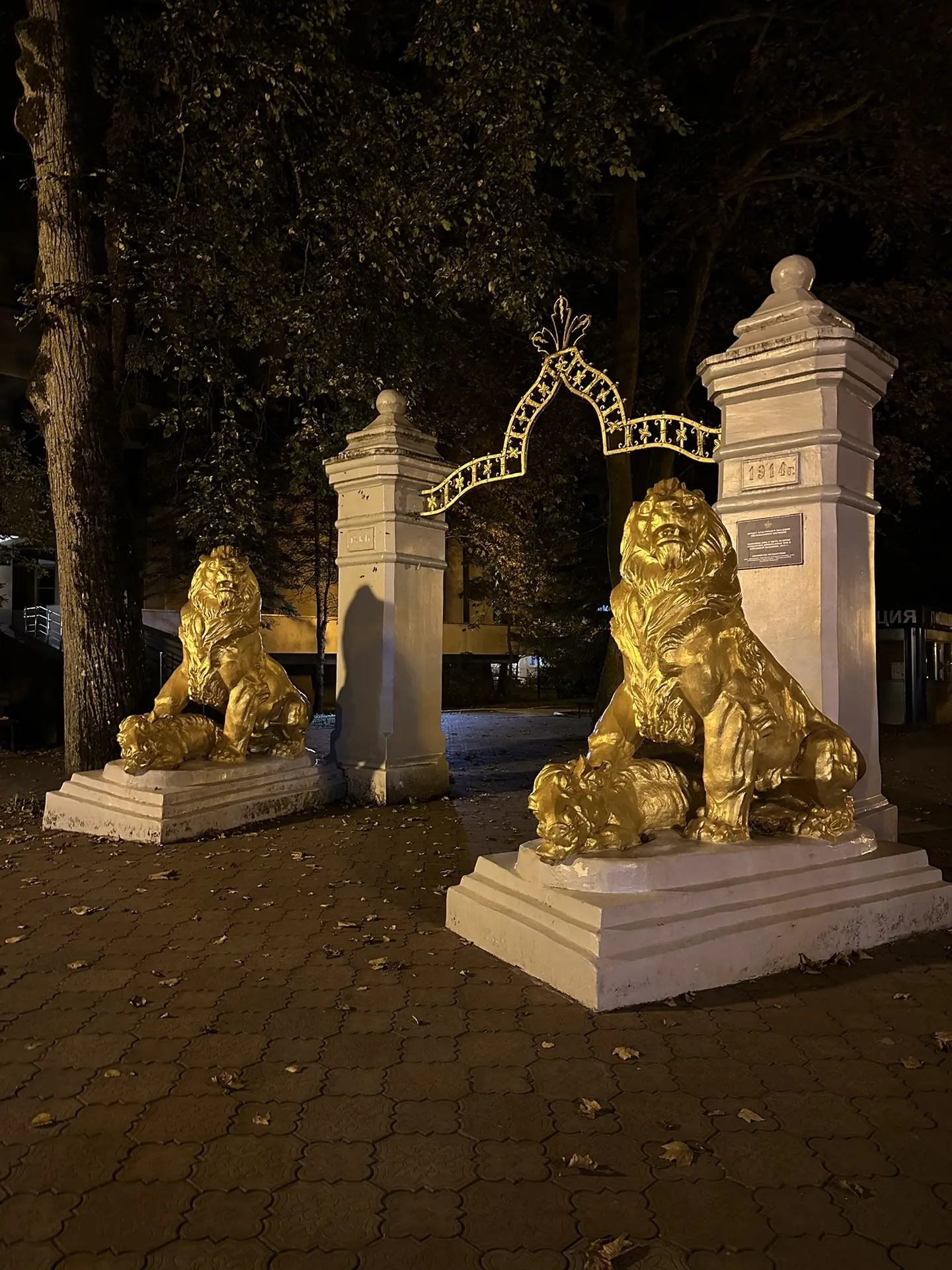 Всем доброй ночи
