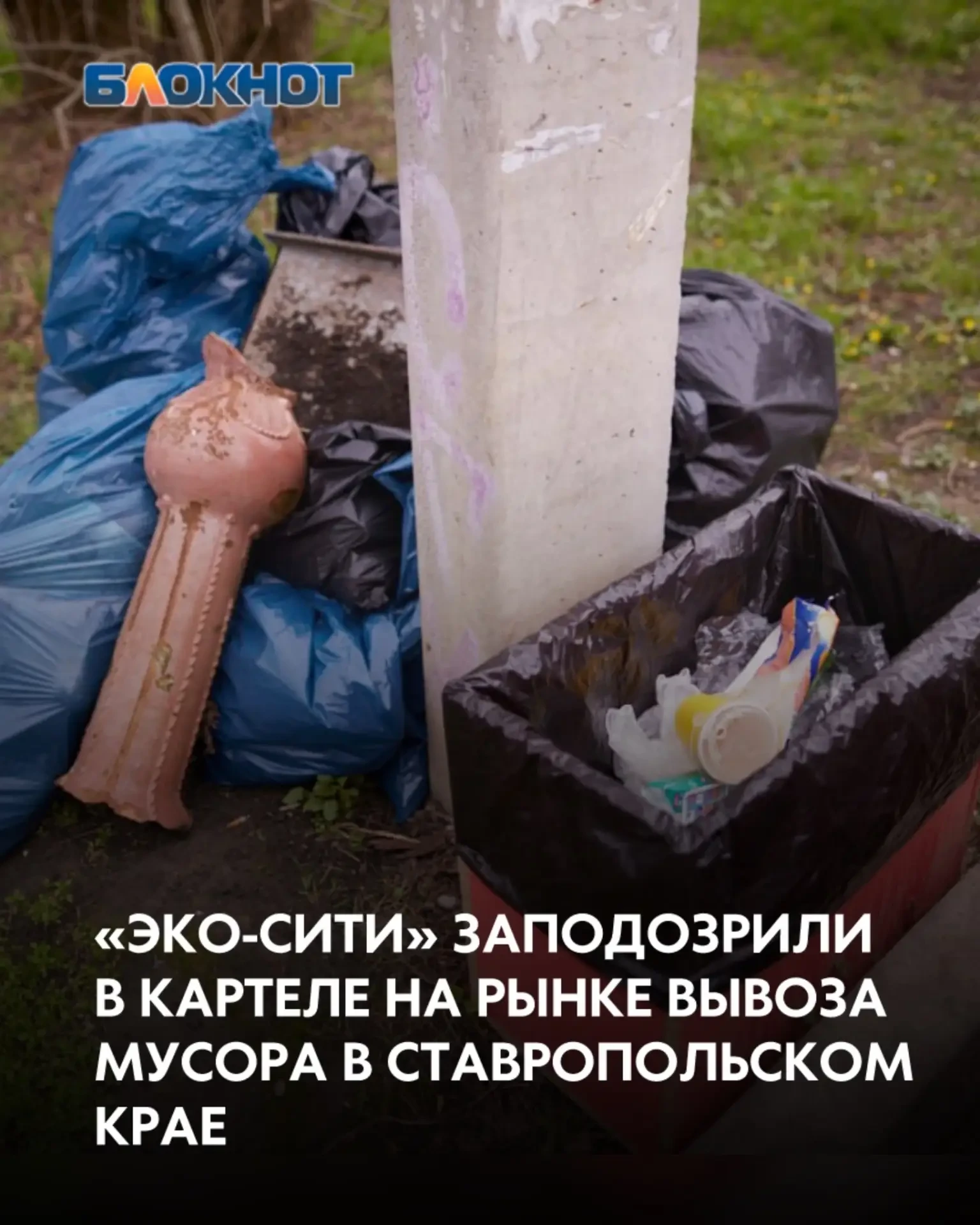 ⚖️ Антимонопольная служба выявила сговор на торгах