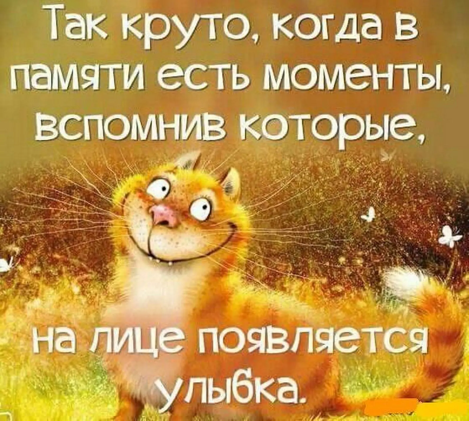 Пусть будет больше таких моментов 😉