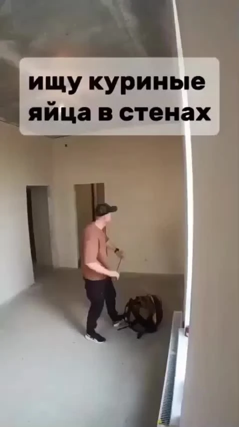 ☝Иностранные рабочие прячут яйца в стенах новых квартир, чтобы потом за деньги их изыма...