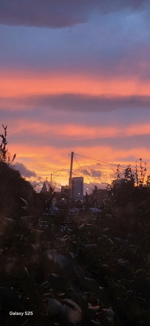 Вы только посмотрите, какой сегодня потрясающий закат 🌅😍