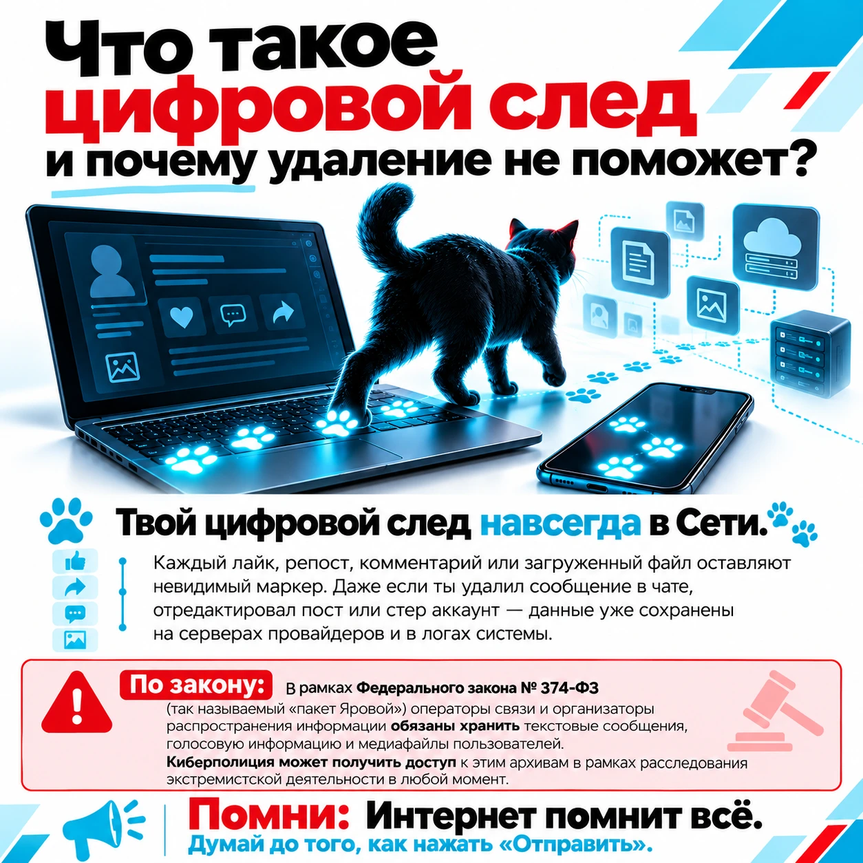 У интернета хорошая память 📱🐾