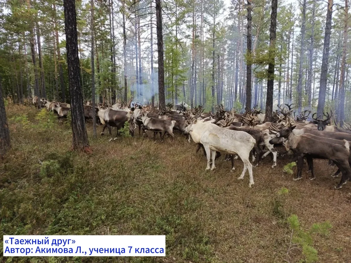 📸🌅«Красота моего села» - открываем подборку фоторабот!