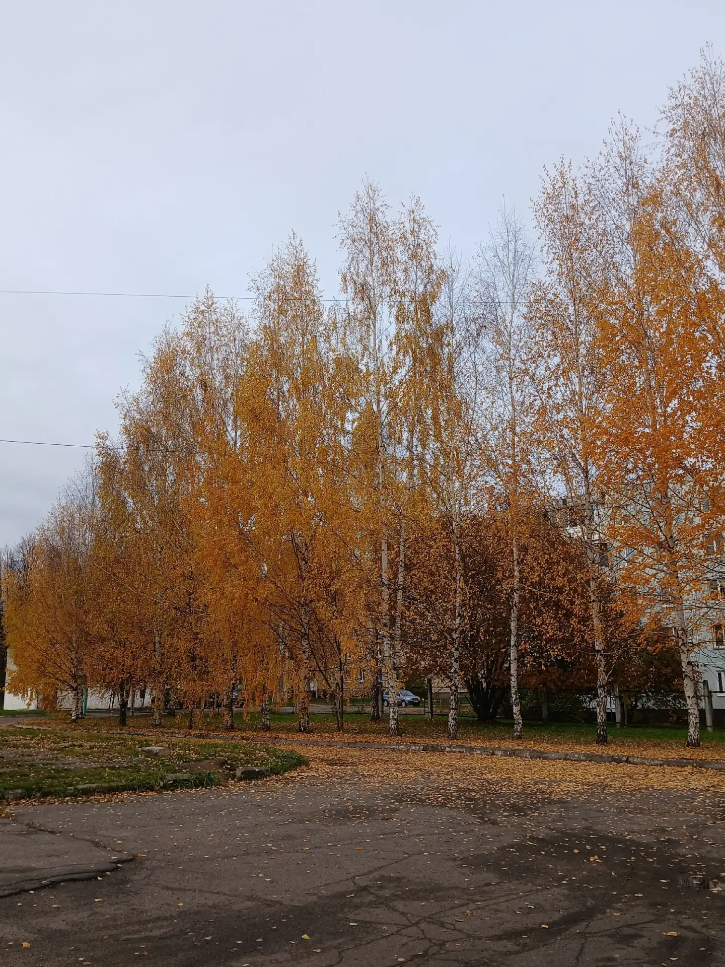 Всем хорошего вечера 🍁🍂