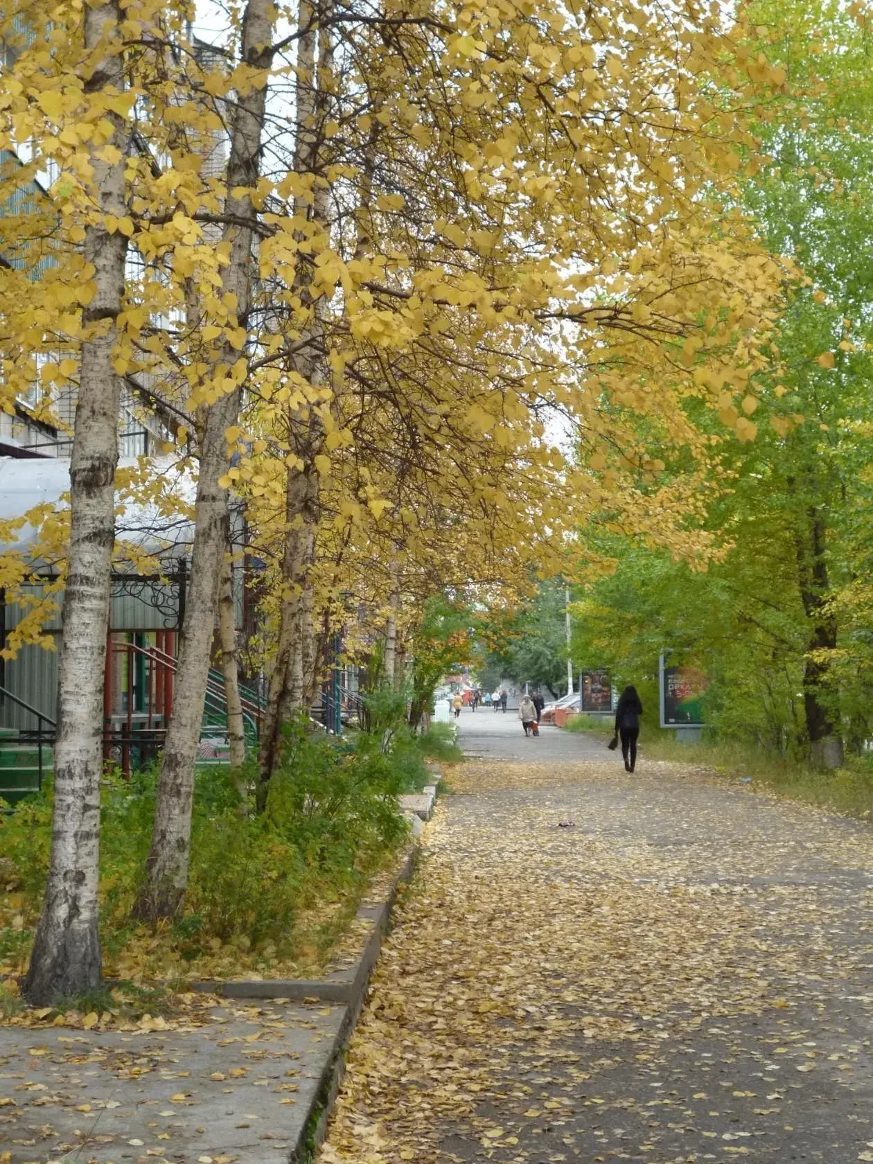 Бродила по городу осень