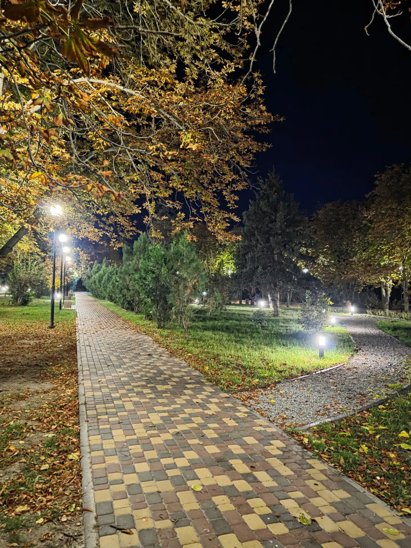 🍂 Осень. Вечерний сквер "Молодежный" возле парка после дождя