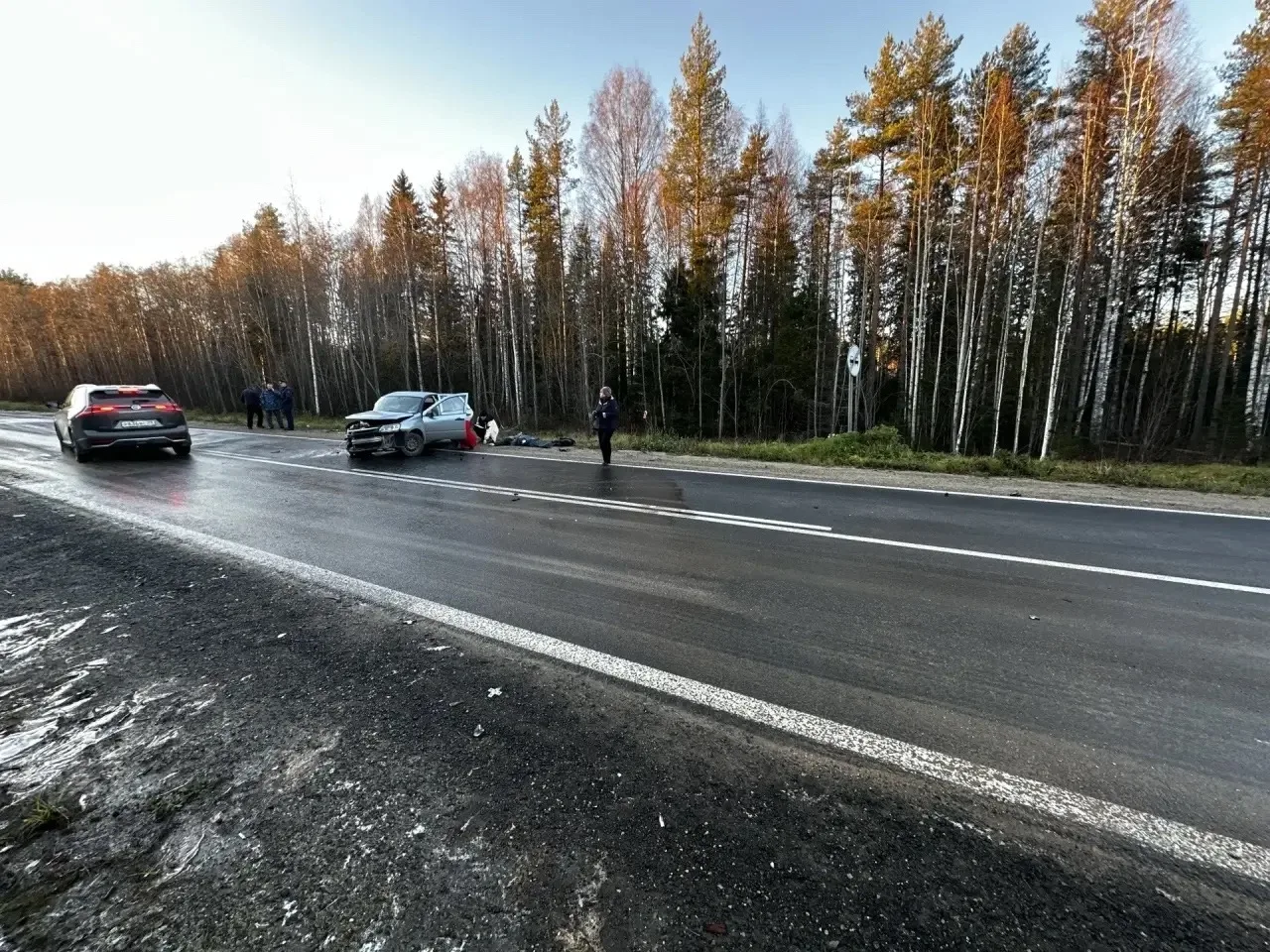 Сегодня на дороге произошла страшная трагедия.