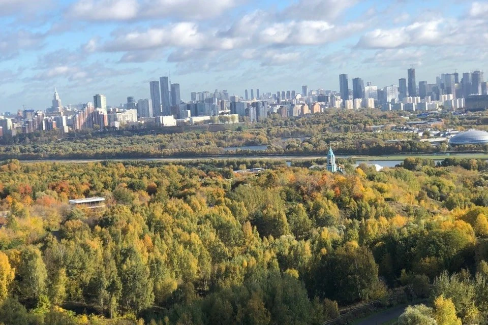 🍂 Золотая осень и панорама Москвы из Крылатского