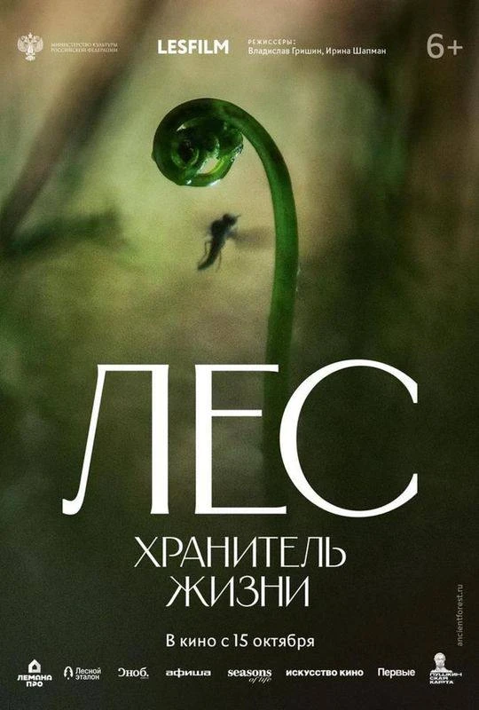 #КИНО@iz_doma_ekb