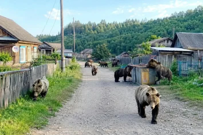 👀😳ИРКУТСКАЯ ОБЛАСТЬ. ГОСТИ ,НА ОДНОЙ УЛИЦЕ В ДЕРЕВНЕ 😱. В каждый дом заходят......зд...