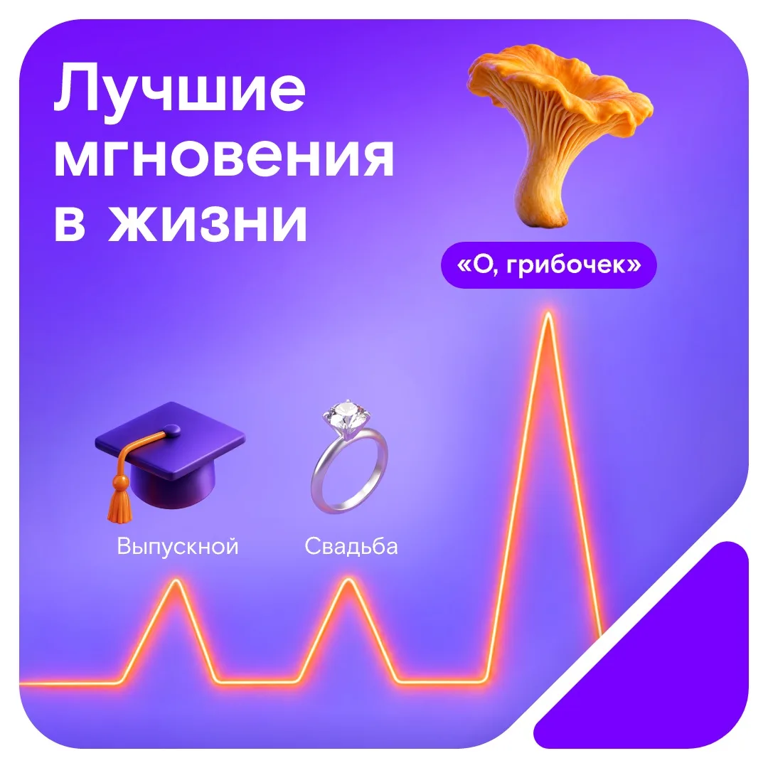 Признавайтесь, уже все опушки обошли? 🍄