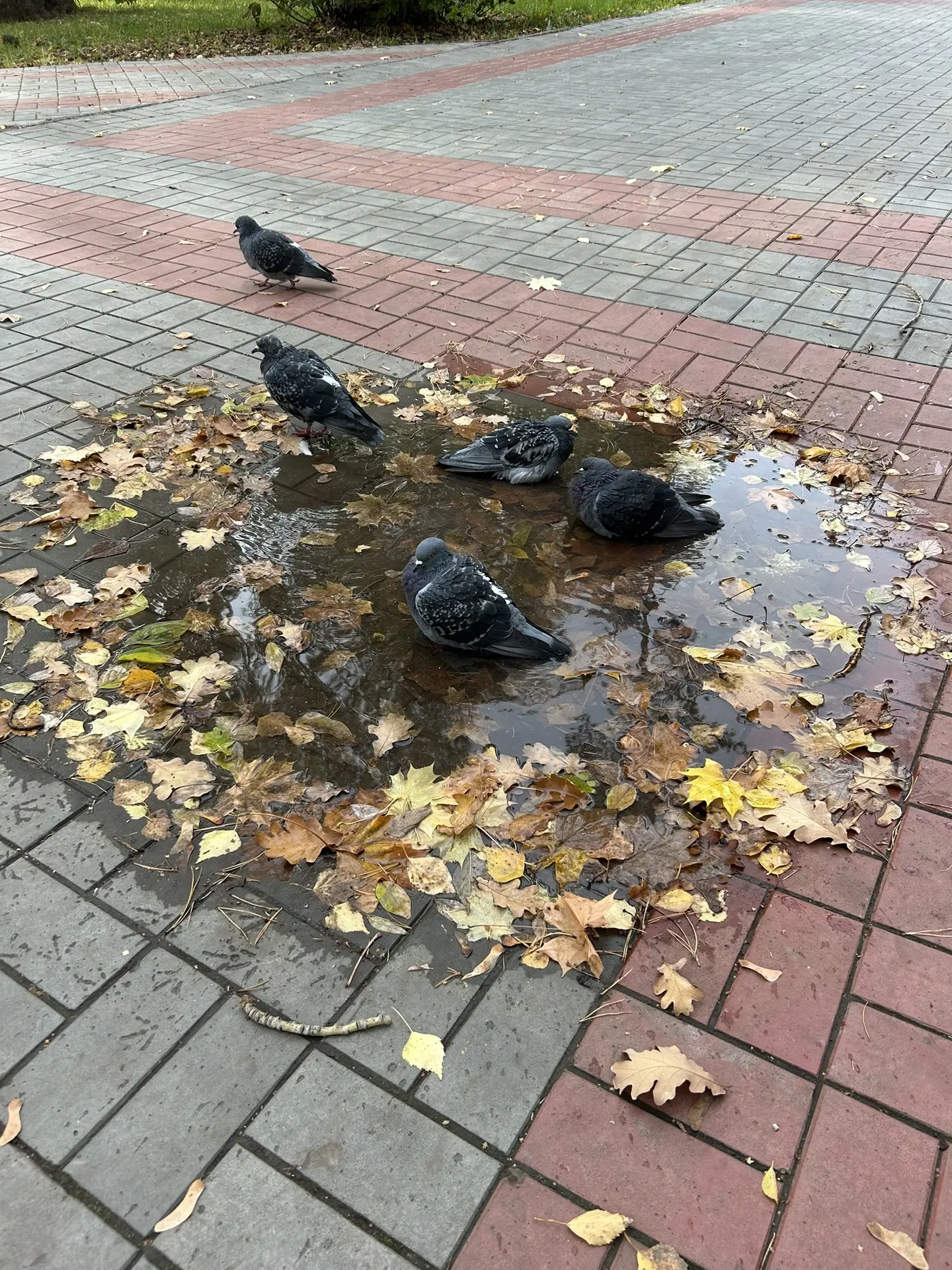 День у нас сегодня такой теплый и солнечный😍