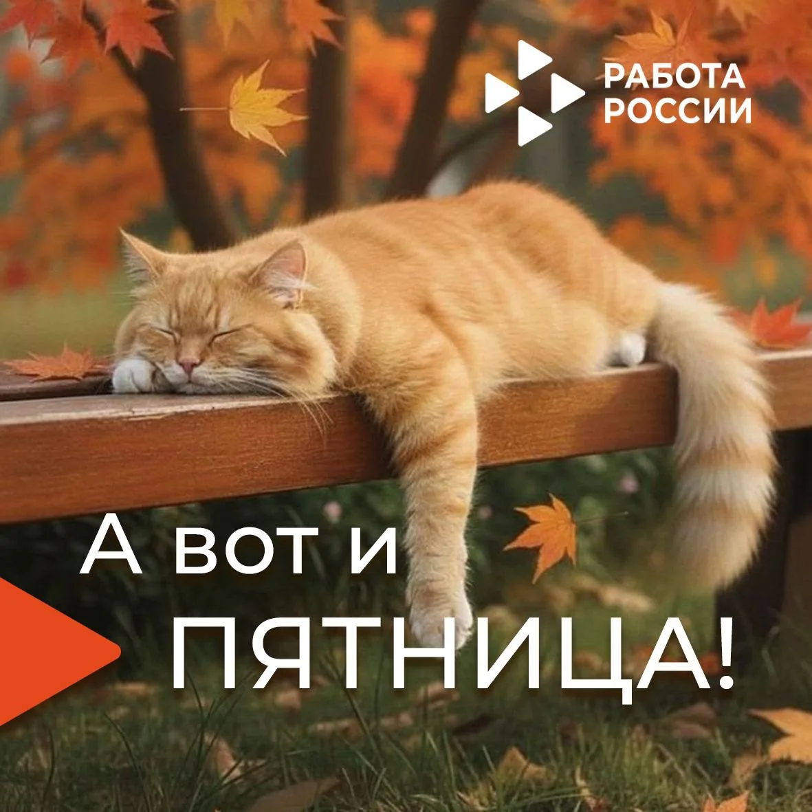 🌼Рабочая неделя официально позади