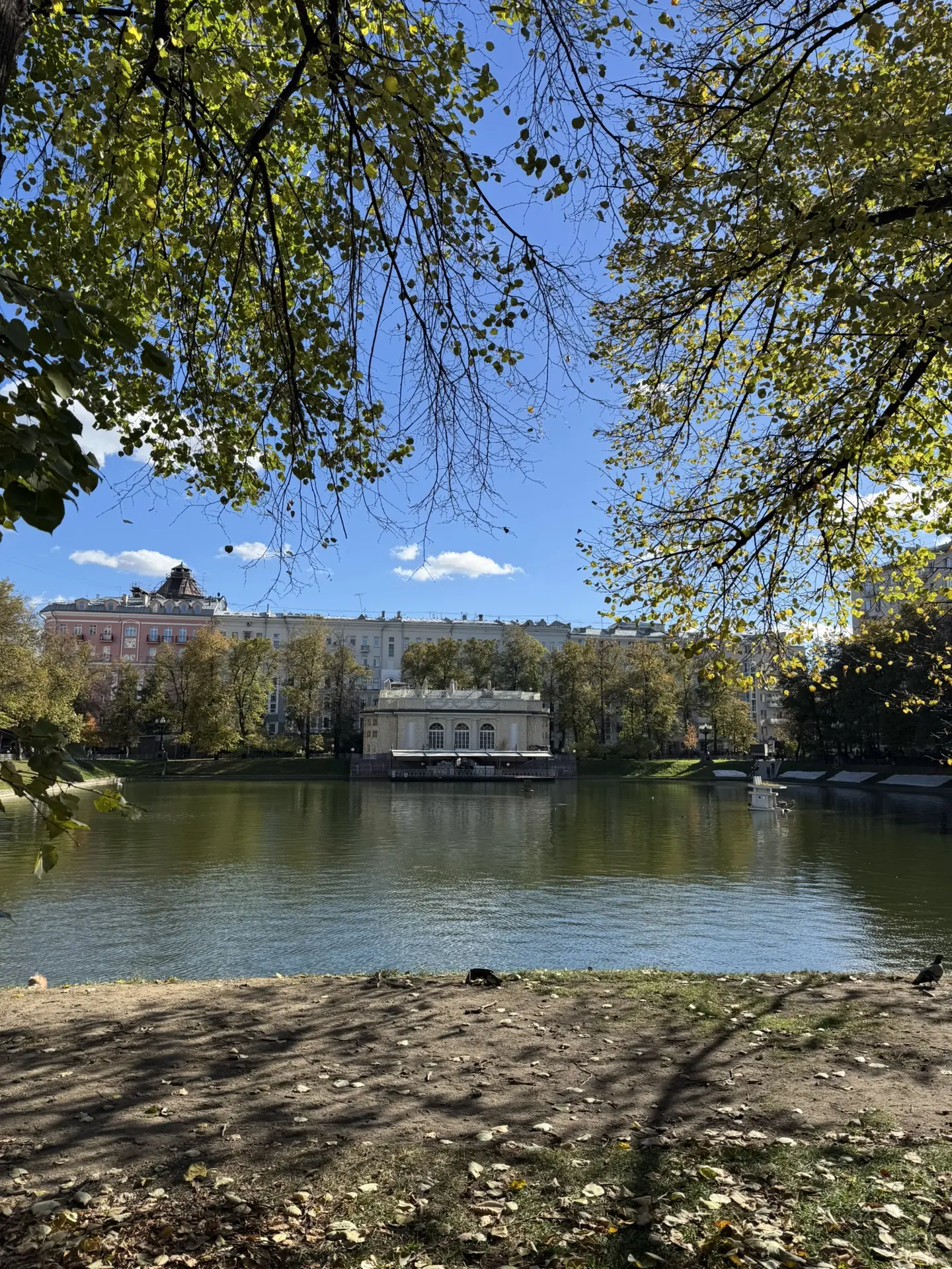 Чтобы вы обо мне не забывали, красивая вам Москва и область❤️✨