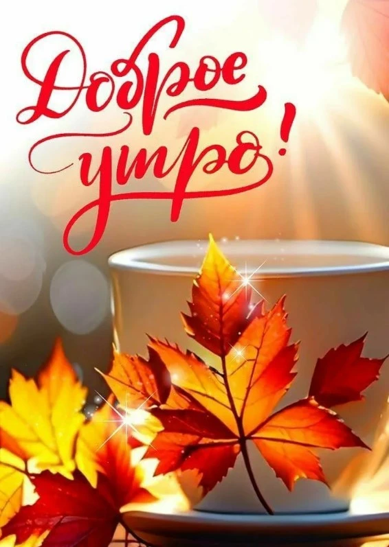 📌Всем нашим доброе утро!
