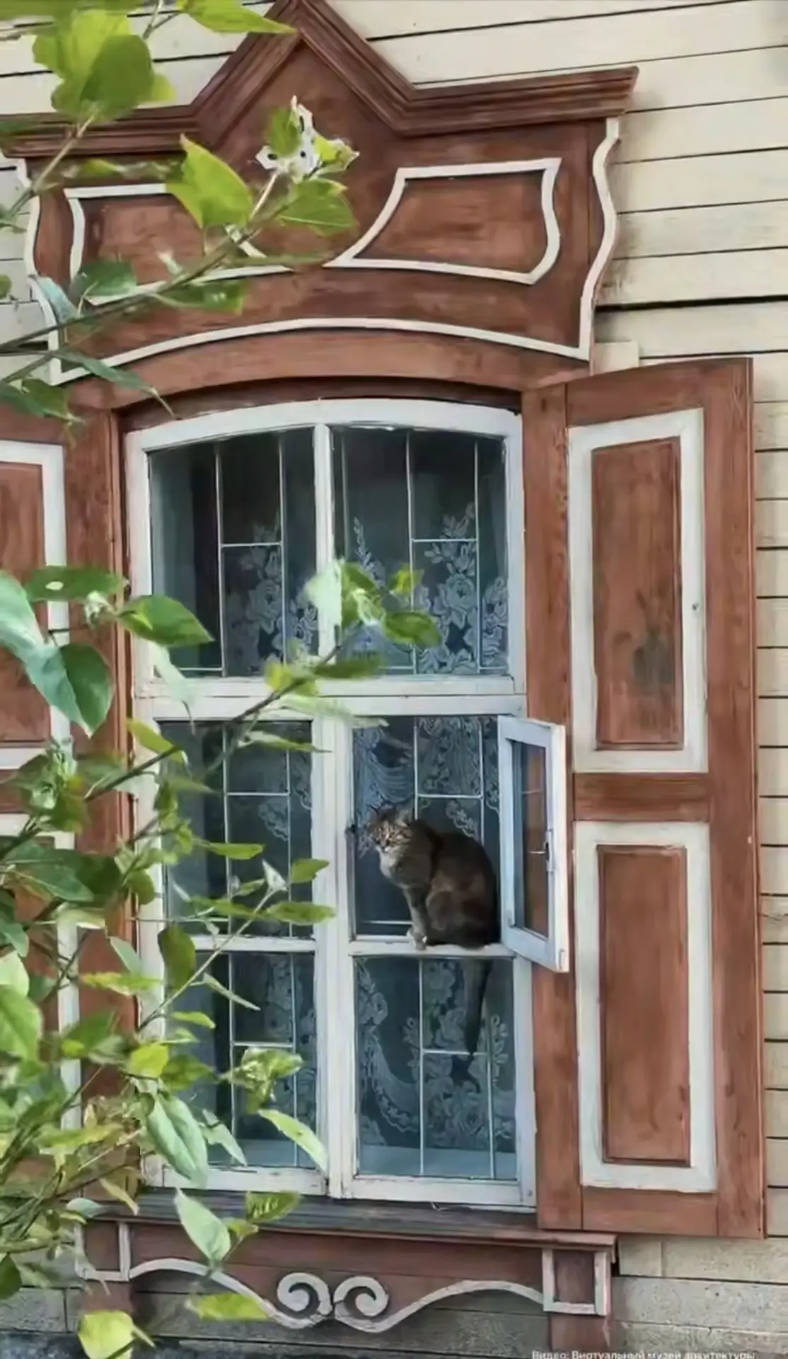 🐈 Иркутск глазами тех, кто давно считает его своим