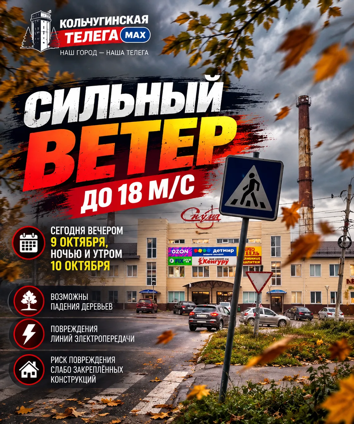 🌪 На Владимирскую область надвигается сильный ветер!