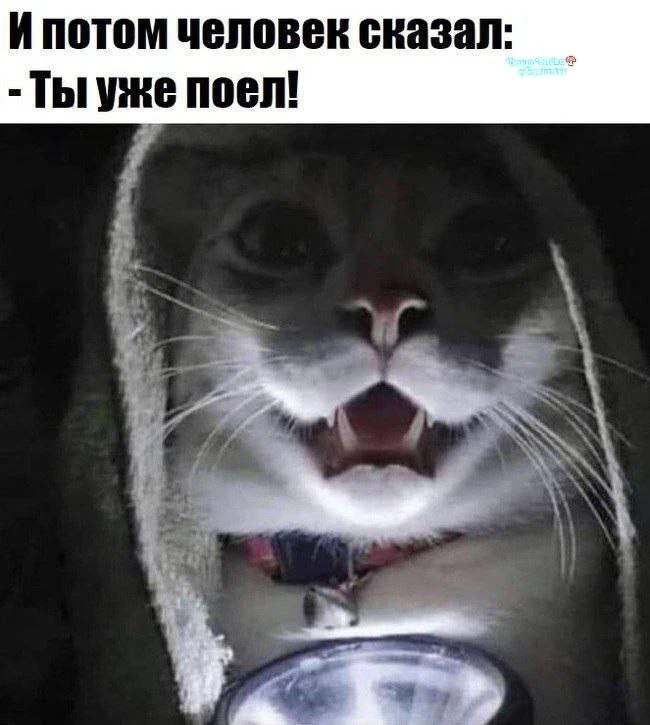 УжОс ужасный. Со страху съела три каклеты и эклер. Кажись отпускает потихоньку 👀