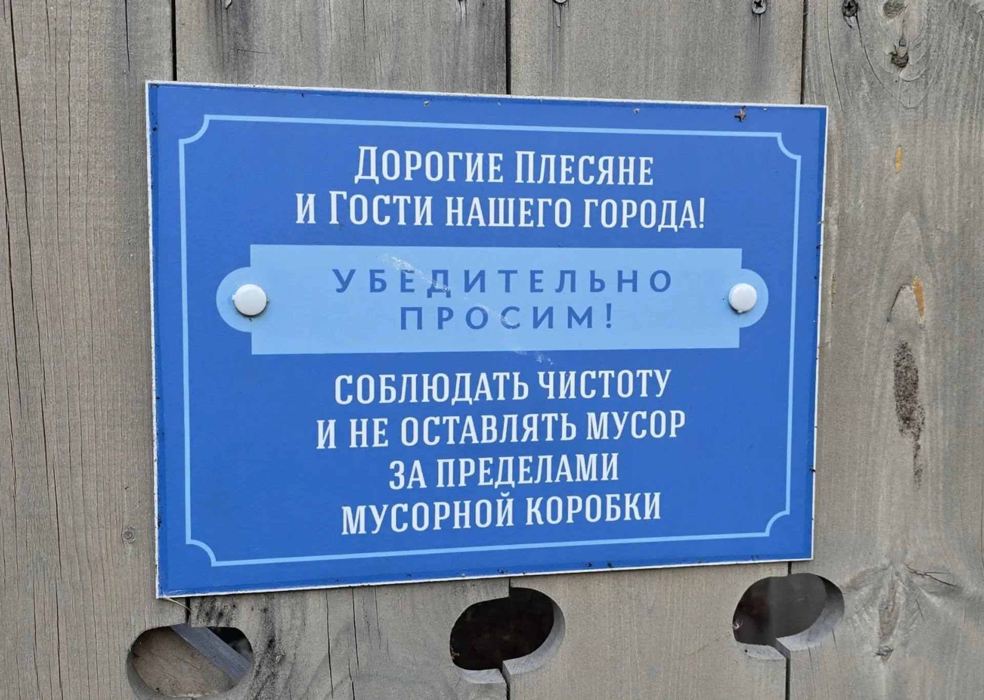Оказывается, правильно говорить - плесяне 😲.