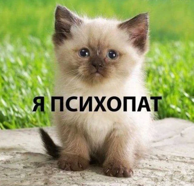🙂 Всемирный день психического здоровья отмечается сегодня