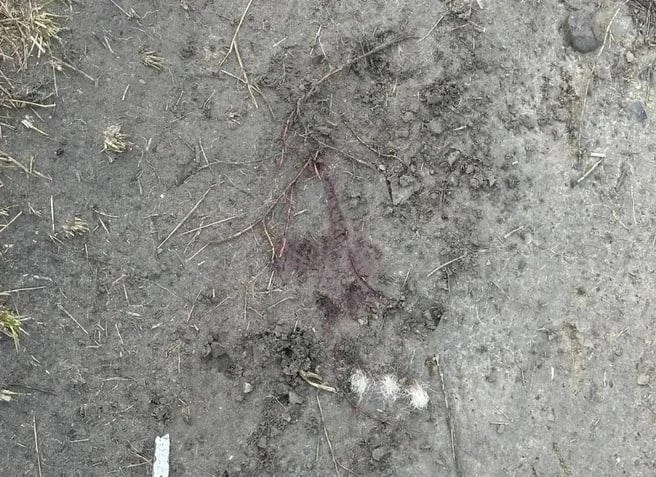 Медведя заметили в селе Санниково в Первомайском районе.