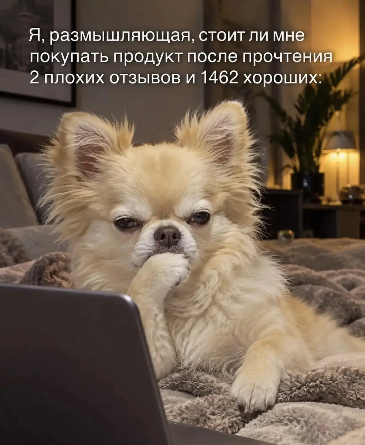 Доброе пятничное 🤍
