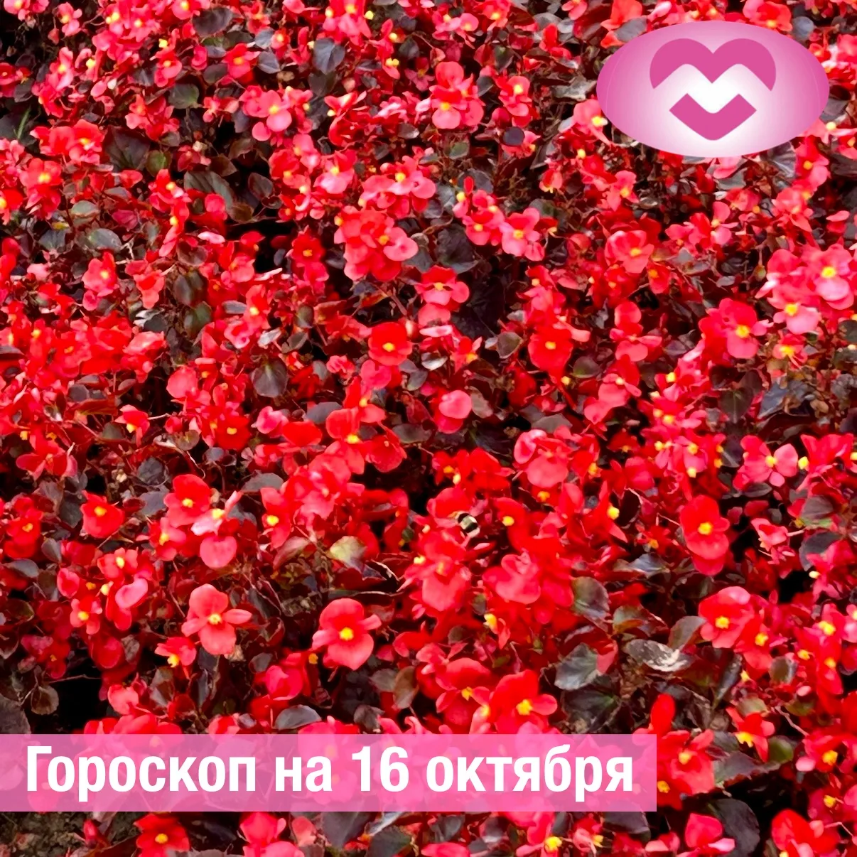 ♈ Овен