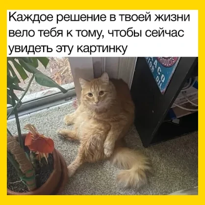 Полный Хохотамбл! Подпишись скорее