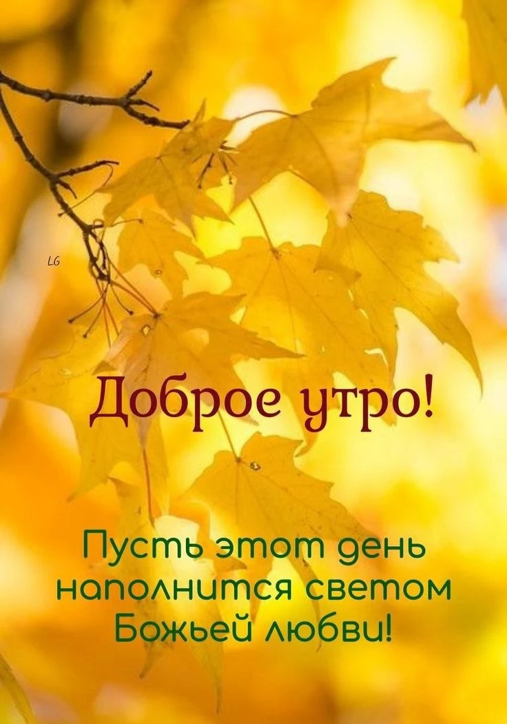 🌿🔶🌿🔶🌿🔶🌿🔶🌿🔶