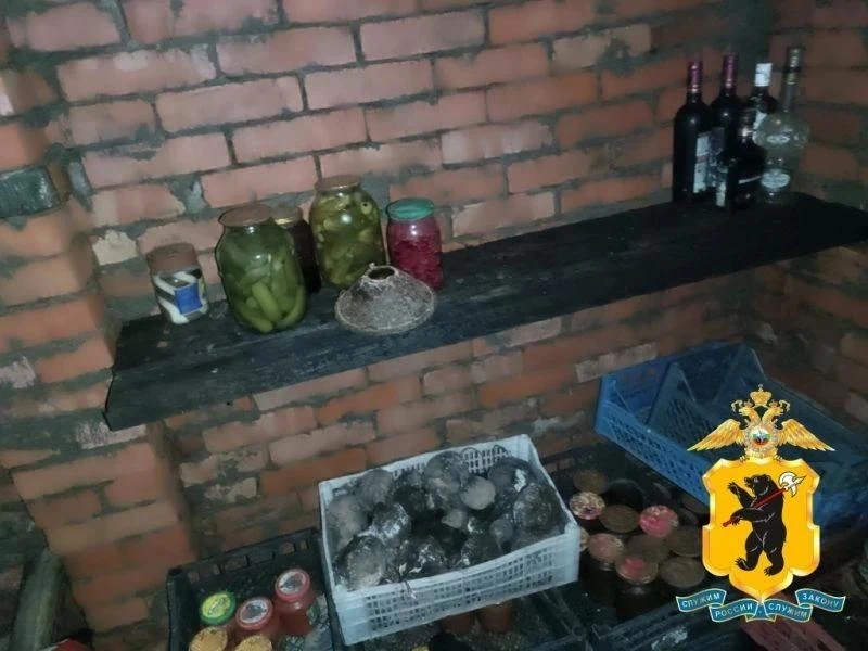 Выпил, закусил - в тюрьму. В Ярославской области мужчина украл у знакомого 20 бутылок а...