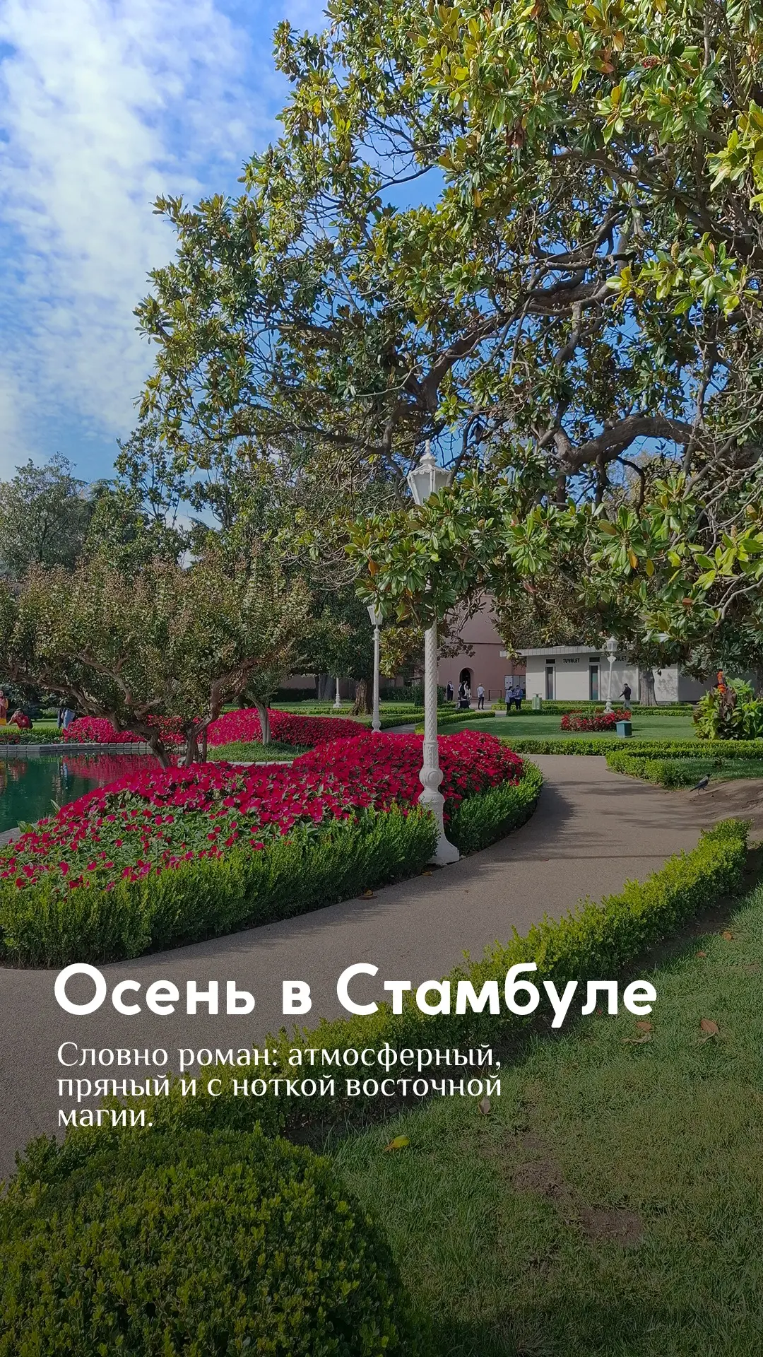 🇹🇷 Стамбул осенью: 5 причин влюбиться в этот город