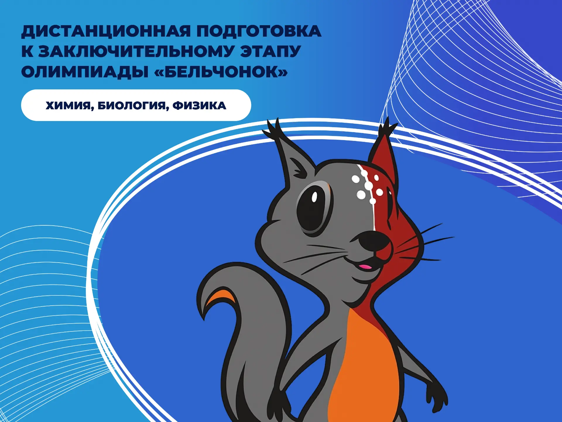 Моллюски знают физику и не только. А вы? | Проверьте себя на олимпиаде «Бельчонок»